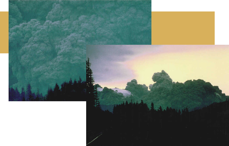 A collage of clouds and trees with one picture being taken.